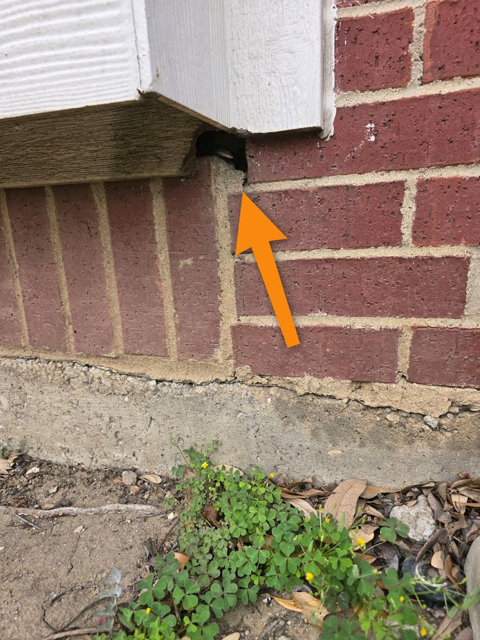 Unsealed gap in brick veneer that allows pest and moisture entry, found in Prosper, TX